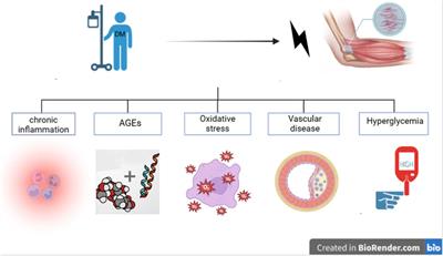 The impact of diabetes mellitus on tendon pathology: a review